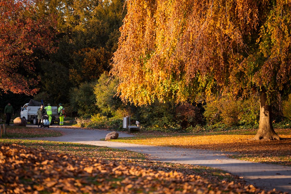 In a park setting during autumn, a white van is parked on a paved pathway surrounded by trees with vibrant orange, yellow, and red leaves. On the left side of the van, a small group of people, some dressed in hi-vis jackets, are gathered next to a stack of large black rubbish bags and a metal trash bin, indicating the collection or disposal of yard waste or debris. The scene is lit with warm, natural sunlight that highlights the rich autumnal colors of the foliage and casts long shadows across the pathway. Fallen leaves carpet the ground and are also scattered on the paved path, which curves gently into a wooded area in the background. The overall environment suggests a typical outdoor waste removal operation, perhaps involving private collection services near a public park or residential area, emphasizing the practical aspect of rubbish removal in green spaces, as managed by Waste Removal Chiswick.